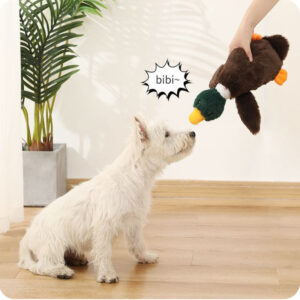 Plush Mallard Duck Dog Toy