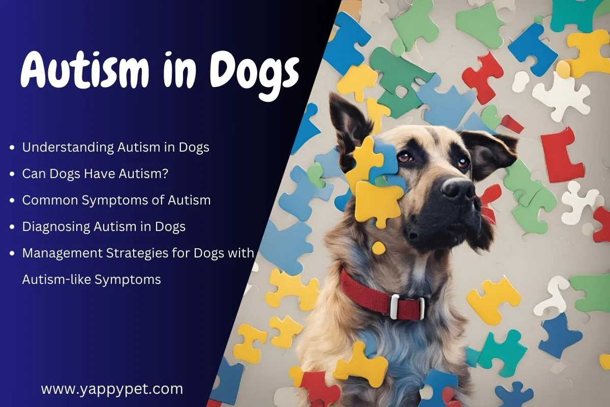 Can Dogs Have Autism